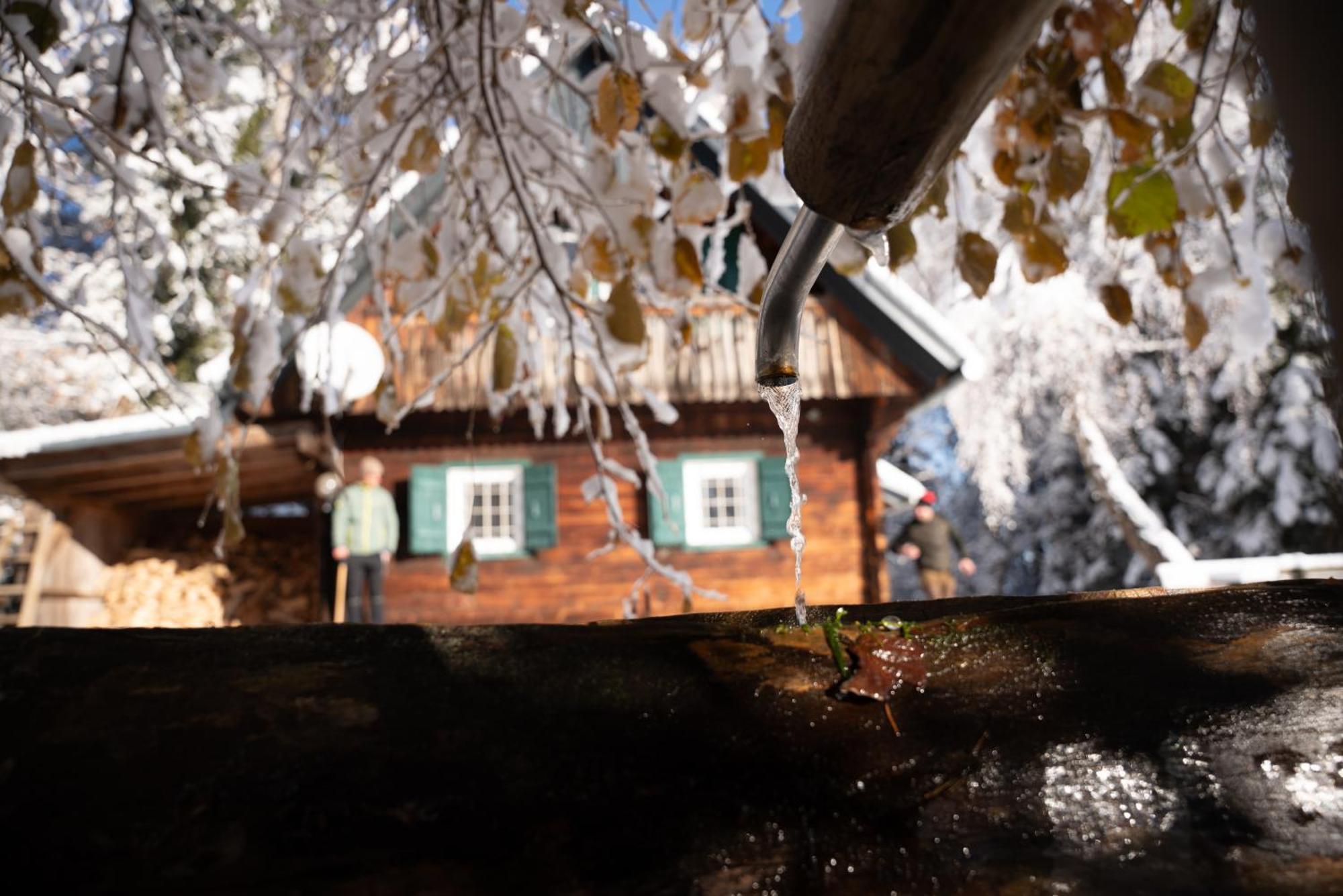 Gregor'S Ferienhaus Im Wald Edelschrott Exterior foto