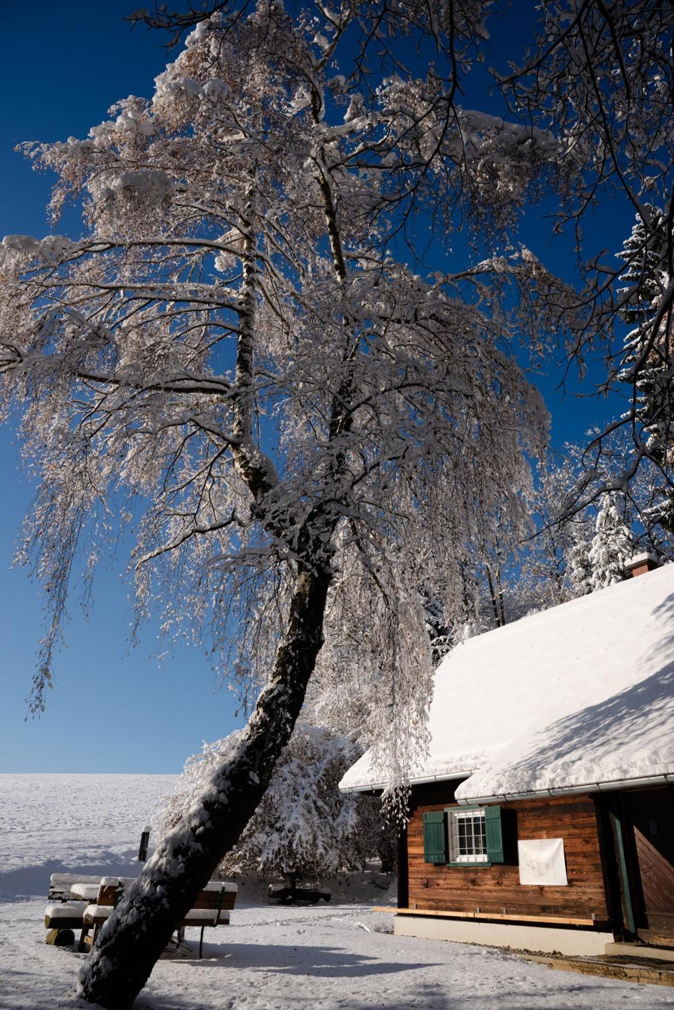 Gregor'S Ferienhaus Im Wald Edelschrott Exterior foto
